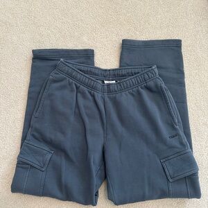 Aritzia Gray Cargo Pants
